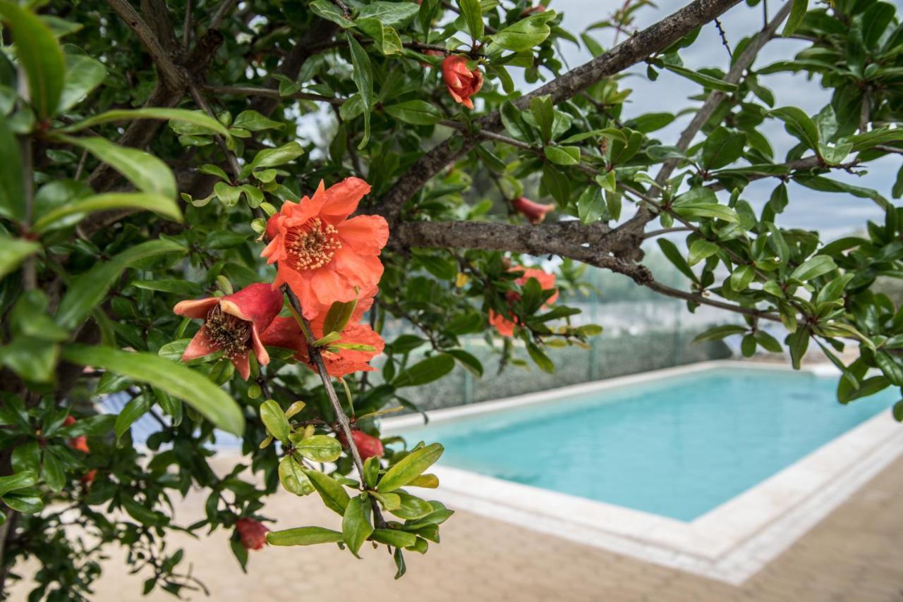 Villa Lara Polignano a Mare Buitenkant foto